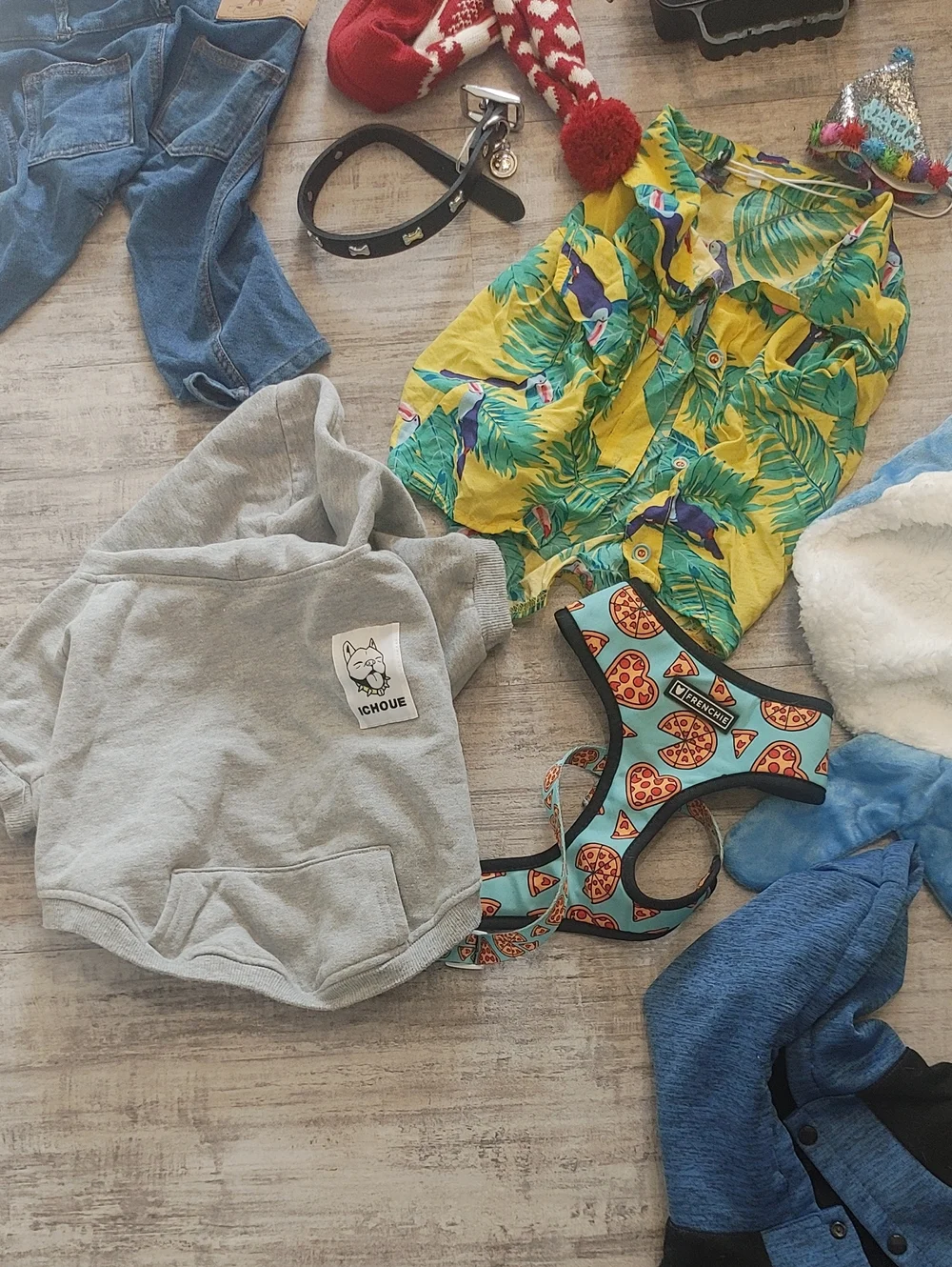 HUGE FRENCHIE LOT L/XL French Bulldog Clothes & Accessories